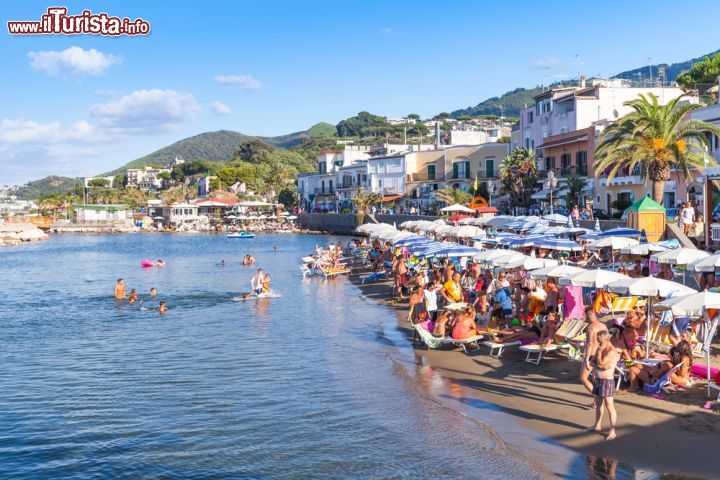 Immagine Spiaggia in estate a Lacco Ameno, costa nord di Ischia - © Eugene Sergeev / Shutterstock.com