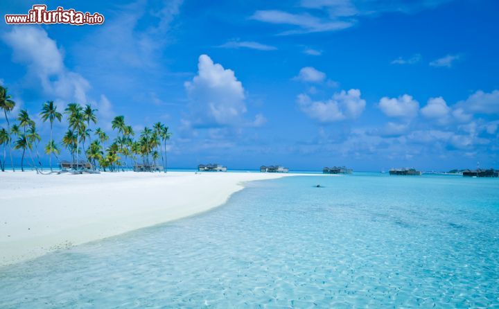 Immagine Una spiaggia circondata dall'acqua cristallina dell'atollo. Siamo alle Maldive, nell'Oceano Indiano - foto © senic / Shutterstock.com