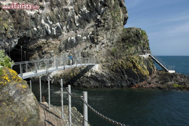 Immagine Trekking nel nord dell'irlanda sul sentiero dei The Gobbins, vicino a Larne - © media.ireland.com