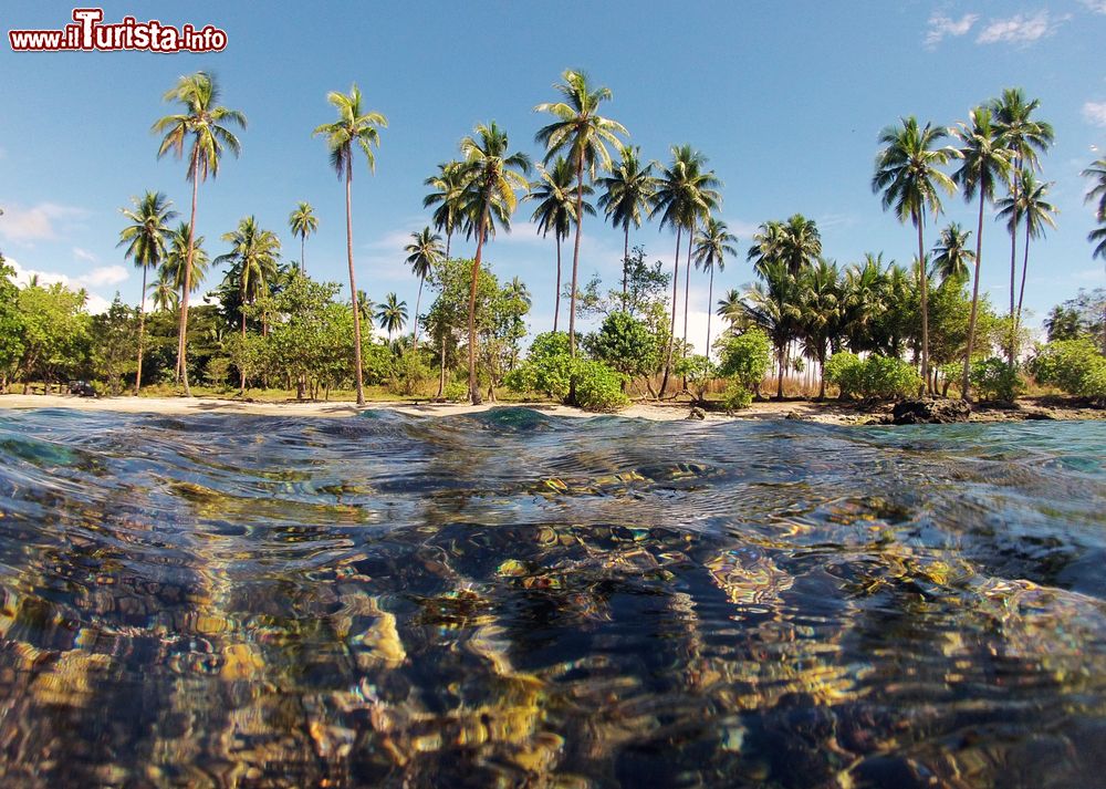 Immagine Un tratto dell'isola tropicale vista dal mare, isole Salomone, Oceania. Honiara sorge sulla costa nord-occidentale dell'isola di Guadalcanal, alla foce del fiume Mataniko.