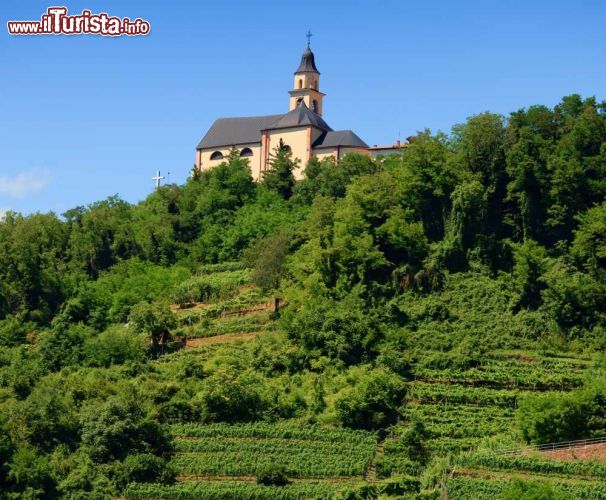 Immagine Una chiesa s'affaccia sui vigneti di Segonzano in Trentino - © Natalia Macheda / Shutterstock.com