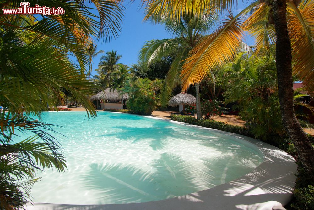 Immagine Una piscina sull'isola di Anguilla, Caraibi, America Centrale, vista fra le palme.