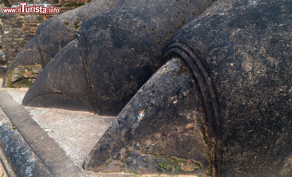 Immagine Particolare della zampa di leone accanto alla scalinata che conduce alle rovine del palazzo di Sigiriya, uno dei siti archeologici più spettacolari dello Sri Lanka.