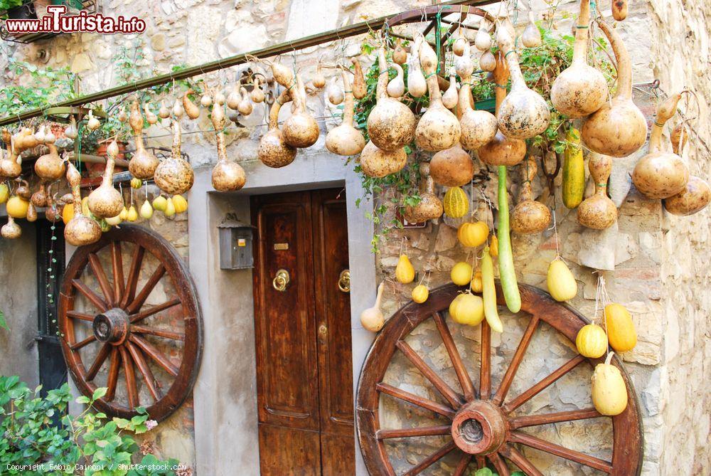 Immagine Zucche e vecchi oggetti agricoli davanti a una casa nel borgo di Castelnuovo Berardenga, Siena - © Fabio Caironi / Shutterstock.com