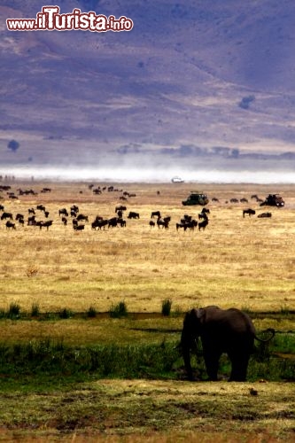 Immagine I paesaggi del Ngogongoro - Tanzania