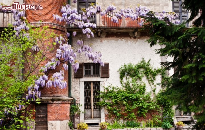 Immagine Il Giardino detto anche Orto Botanico di Brera a Milano, che fa parte del grande complesso di Palazzo di Brera - © pcruciatti / Shutterstock.com