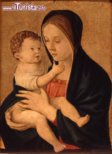 Immagine Bellini Madonna con Bambino: l'opera è esposta ad Ajaccio, all'interno del Museo Fesch - © Musée Fesch Ajaccio - Wikimedia Commons.