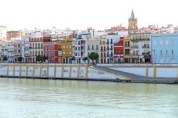 Barrio de Triana con le case colorate che s'affacciano sul canale Alfonso XIII, che separandosi dal fiume di Guadalquivir forma anche l'isola della Cartuja - © Ana del Castillo
/ ...