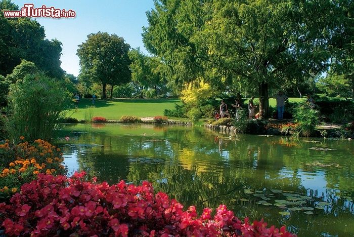 Immagine Lago con fioritura al Parco Sigurtà di Valeggio sul Mincio