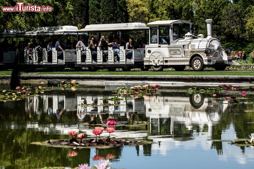 Immagine Il trenino per la visita in relax del Parco Sigurtà