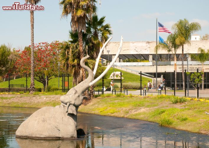 Immagine Scultura di un mammut imprigionato: tra i 50 e 100 mila anni fa era una scena comune tra le pozze di La Brea Tar Pits, dove sono stati ritrovati migliaia di fossili, nel centro di Los Angeles in California - © Zack Frank / Shutterstock.com