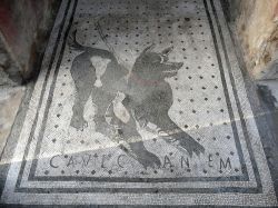 Il famoso mosaico pavimentale di Pompei, "Cave Canem" con l'avviso di attenti al cane posto all'ingresso di un casa nella antica cittàromana alle pendici sud  del ...