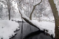Magie invernali: ecco come si presnta il Parco Sempione di Milano dopo un nevicata a gennaio