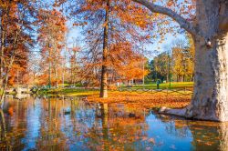 In autunno i grandi alberi di latifoglie nel Parco Sempione di Milano regalano uno spettacolo di colori con il loro "foliage"- © Saknarong Tayaset / Shutterstock.com