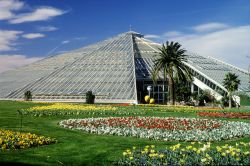 Il diamante verde è la grande serra di Nizza e si trova al Parc Phoenix. Con la sua particolare forma a piramide, le le vestrate di oltre diecimila metri quadri, è la più ...