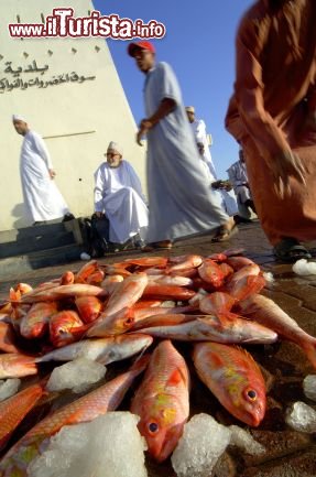 Pesci del Golfo di Oman esposti al mercato del pesce - Copyright Ufficio del Turismo del Sultanato dell'Oman