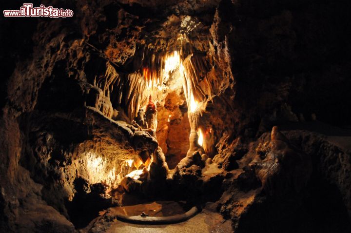 Immagine Le grotte si possono visitare accompagnati da guide specializzate che, in francese o in inglese, spiegano storia e caratteristiche di questa interessante attrazione naturalistica nel cuore della regione della Provenza-Alpi-Costa Azzurra: durano una ventina di minuti e permettono di scoprirne curiosità e aneddoti - © Sonja Vietto Ramus