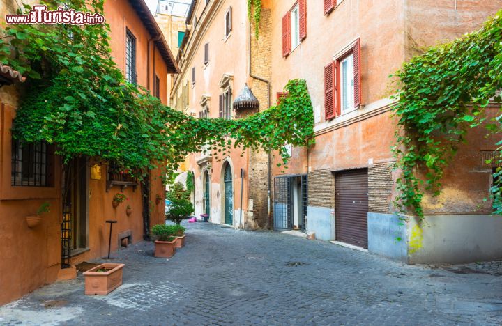 Immagine Uno dei vicoli caratteristici di Trastevere a Roma - © Catarina Belova / Shutterstock.com