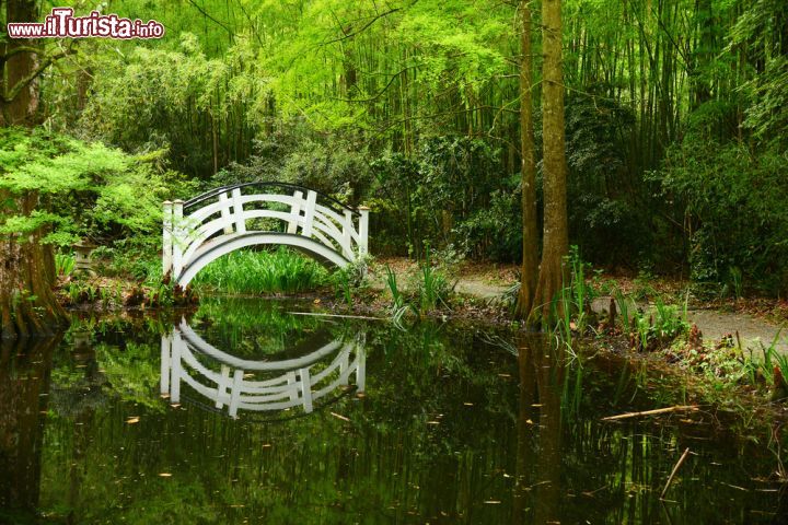 Immagine Un ponticello di legno presso un laghetto della Magnolia Plantation & Gardens, nella periferia di Charleston, South Carolina - foto © saraporn / Shutterstock.com