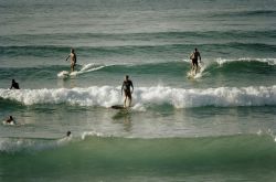 Surfing in New South Wales