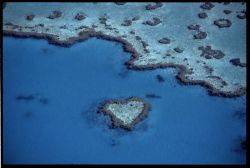 Whitsundays, Queensland: il celebre heart reef, ...