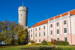 Si chiama Pikk Hermann ed è la torre più alta del complesso del Toompea Loss, l'antico castello del centro di Tallin - © Andrei Nekrassov / Shutterstock.com