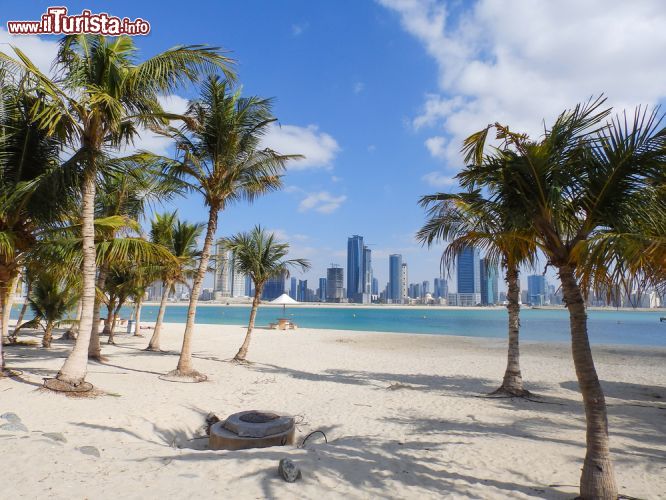 Immagine Palme lungo la spiaggia della Marina di Dubai - © Merlin74 / Shutterstock.com