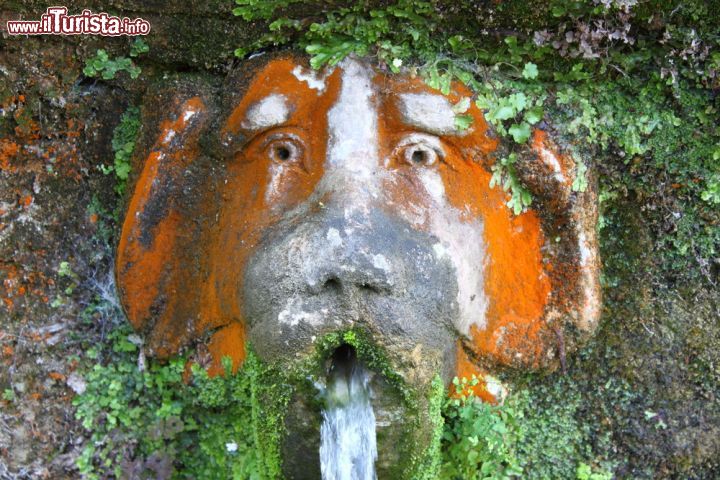 Immagine Una grottesca fontana nel parco di Villa d'Este a Tivoli - © alessandro0770 / Shutterstock.com