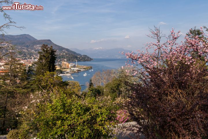 Immagine Panorama del Lago maggiore con in basso i giardini di Villa Taranto di Verbania - © gab90 / Shutterstock.com