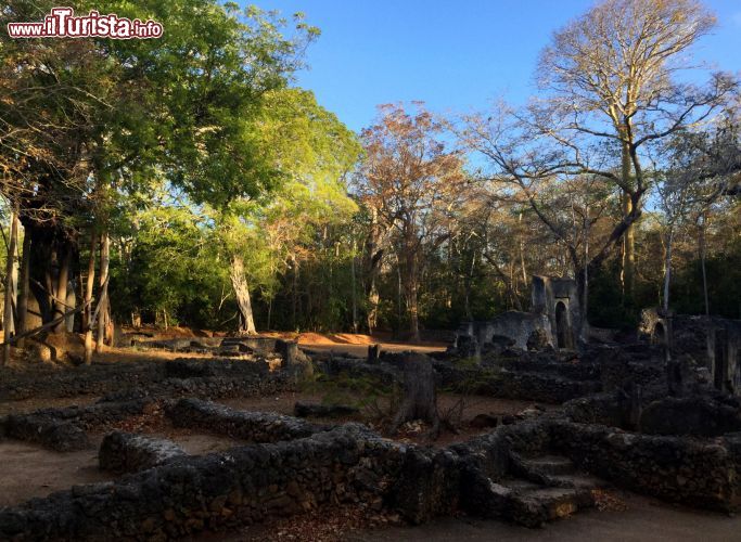 Immagine Rovine di Gede: l'antica città Swahili di Gede era popolata, al momento del suo apogeo nel XV secolo, da 2500-3000 persone.