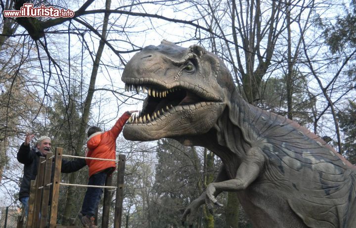 Immagine La Prova del Coraggio: un bambino sfida uno spaventoso T-Rex nel percorso dei dinosauri al Parco degli alberi - © Gruppo Alcuni
