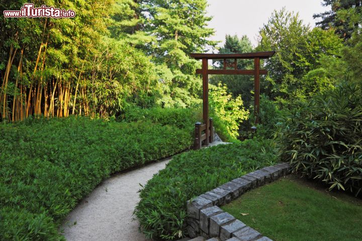 Immagine L'area della tenuta di Villa Carlotta ispirata ai giardini giapponesi ospita venticinque specie di bambù - foto © kavram / Shutterstock.com