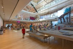 Un bambino esplora le affascinanti installazioni del museo delle Scienze di Trento, il MUSE - © pio3 / Shutterstock.com