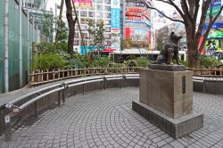 Il monumento del cane Hachiko a Shibuya, Tokyo - © Shayneppl / Shutterstock.com 