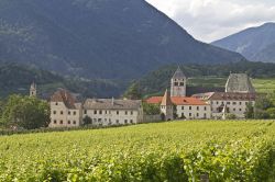 Abbazia di Novacella, Alto Adige - “Vivete ...