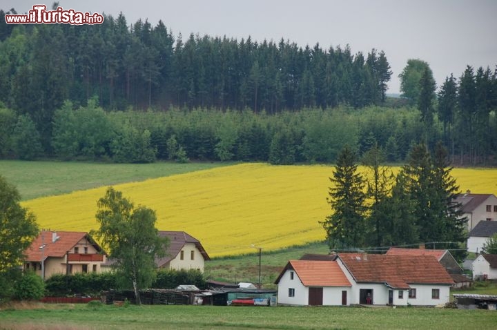 Campagne intorno a holasovice