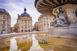 Place de la Bourse fu realizzata durante il XVIII secolo ed è oggi uno dei luoghi più visitati della città di Bordeaux (Francia). Al centro della piazza sorge l'ottocentesca ...