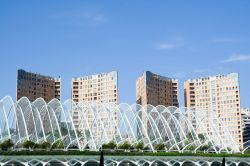 La Città delle Arti e delle Scienze è stata realizzata all'interno dei Giardini del Turia, uno spazio verde circondato dai palazzi e dalle case di Valencia (Spagna) - ...
