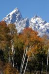 Parco Nazionale Grand Teton nel Wyoming. Credit: ...