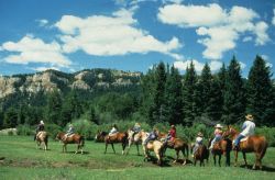 Wyoming: passeggiate a cavallo organizzate per ...