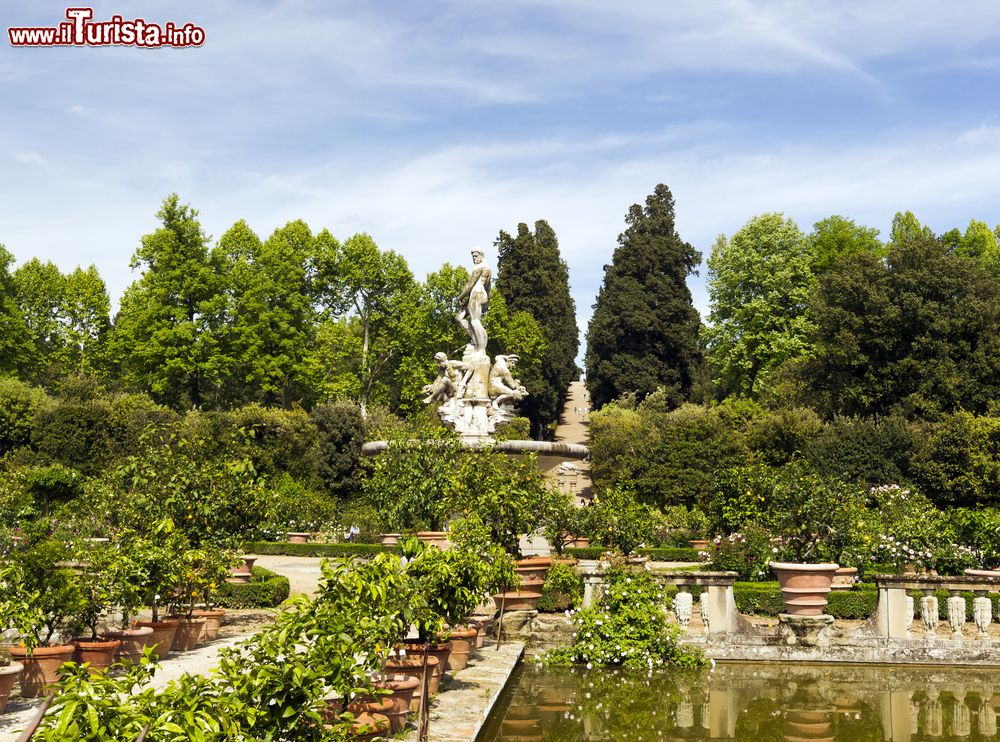 Immagine Uno scorcio panoramico del giardino di Boboli a Firenze, Italia. Uno degli affascinanti percorsi in cui passeggiare all'interno di quest'area verde cittadina.