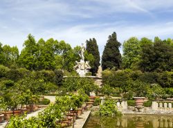 Uno scorcio panoramico del giardino di Boboli a Firenze, Italia. Uno degli affascinanti percorsi in cui passeggiare all'interno di quest'area verde cittadina.
