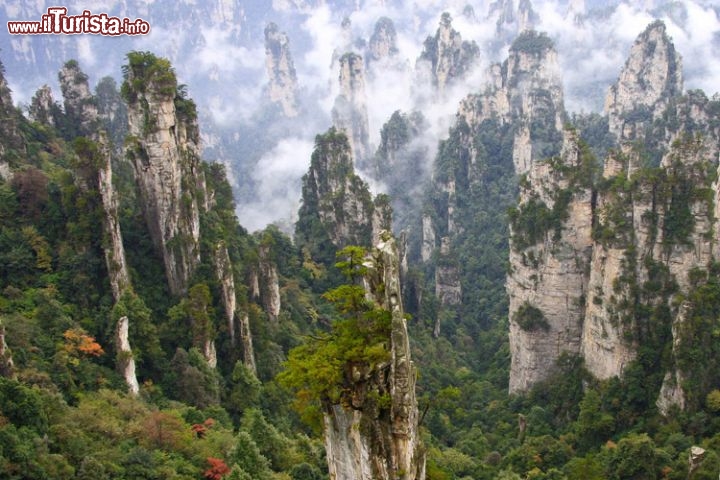 Parco nazionale di Zhangjiajie e le montagne volanti - Sono le cime che hanno ispirato le particolari montagne flottanti nell'Avatar di James Cameron. Qui ovviaemte le vette sono bene ancorate al substrato roccioso, ma la frequente presenza di nuvole e nebbie creano un effetto quasi magico, che ricordano vagamente gli scenari di Pandora, nel film. Si trovano più precisamente nell'area di Wulingyuan, nella provincia di Hunan in Cina, e sono Patrimonio dell'Umanità dell'UNESCO, dal 1992.