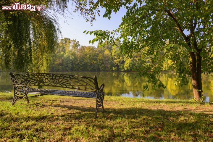 Immagine Una panchina ed un suggestivo scorcio del parco di Herastrau a Bucarest