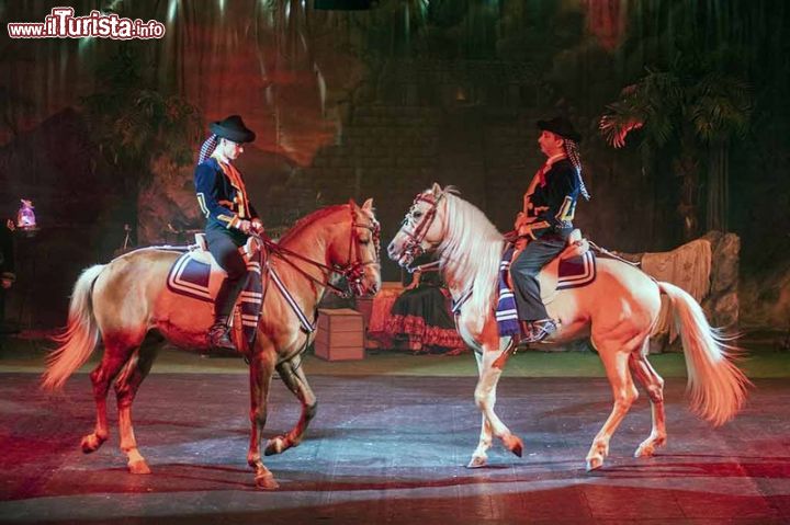 Immagine Show equestre, uno spettacolo al Safari Park di Pombia in Piemonte - © safaripark.it