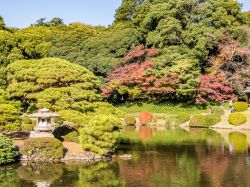 Il Shinjuku Gyoen National Garden, uno dei giardini più spettacolari di Tokyo, famoso anche per la fioritura dei ciliegi - © Takashi Images / Shutterstock.com 