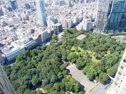 Shinjuku Central Park, il polmone verde del quartiere ...