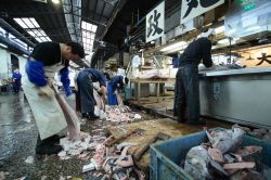 La pulizia del pesce al mercato di Tsukiji di Tokyo, Giappone - © Kosin Chaimut / Shutterstock.com