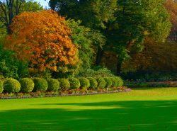 La visita al parco dei Giardini del Lussemburgo a Parigi