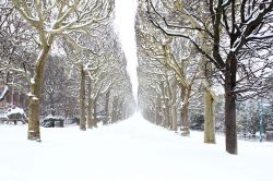 Inverno con abbondante nevicata al Jardin des Plantes di Parigi